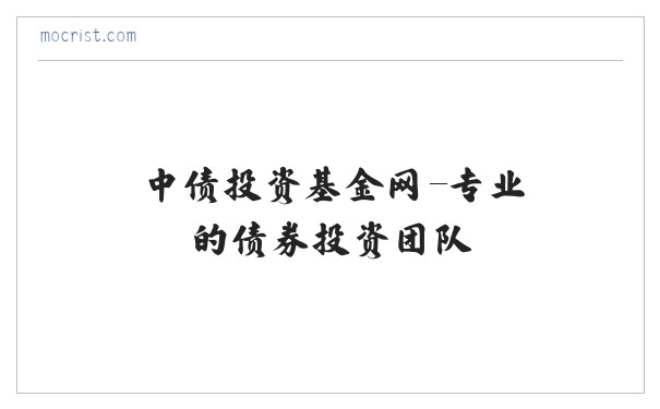中债投资基金网-专业的债券投资团队 缩略图